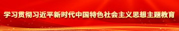 操美女大b学习贯彻习近平新时代中国特色社会主义思想主题教育